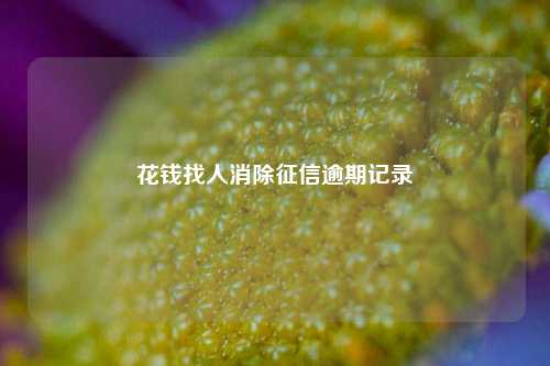 花钱找人消除征信逾期记录
